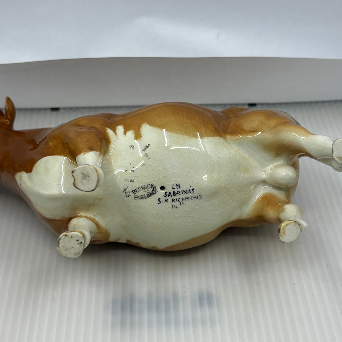 Beswick Guernsey Bull Model 1451, detail view
