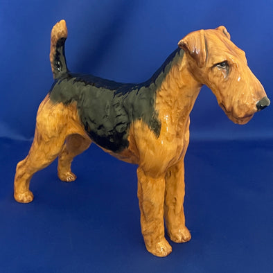 Rare Large Size Royal Doulton Figurine Airedale Terrier HN1022 - William Cross