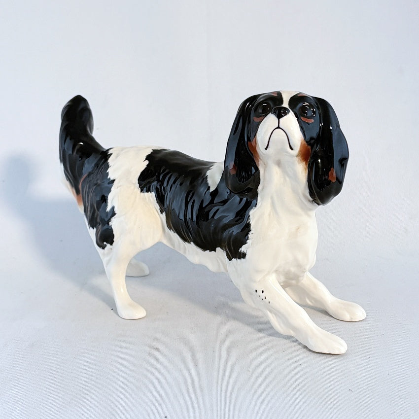 Beswick Cavalier King Charles Spaniel Model 3155