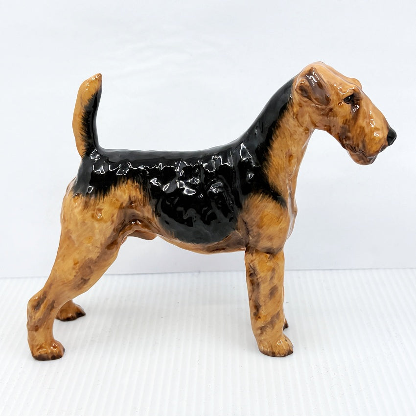 Royal Doulton Airedale Terrier HN1023 — Medium