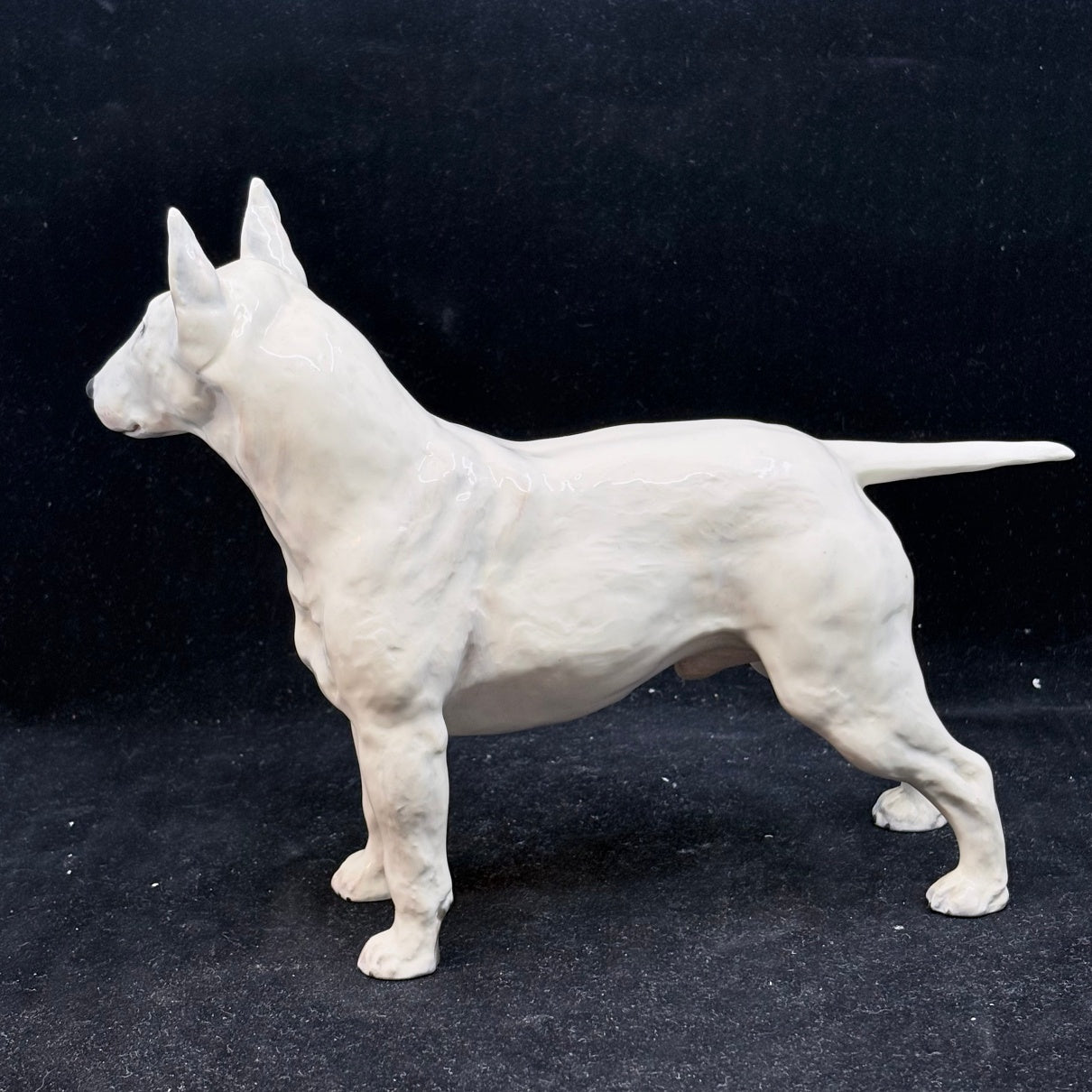 Royal Doulton Staffordshire Bull Terrier-Medium Size- HN1132 - William Cross