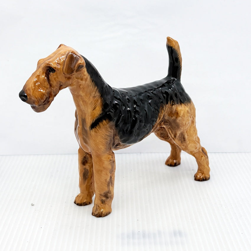 Royal Doulton Airedale Terrier HN1023 — Medium